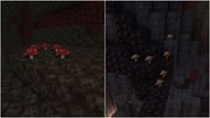 Mushroom (Image via Minecraft)